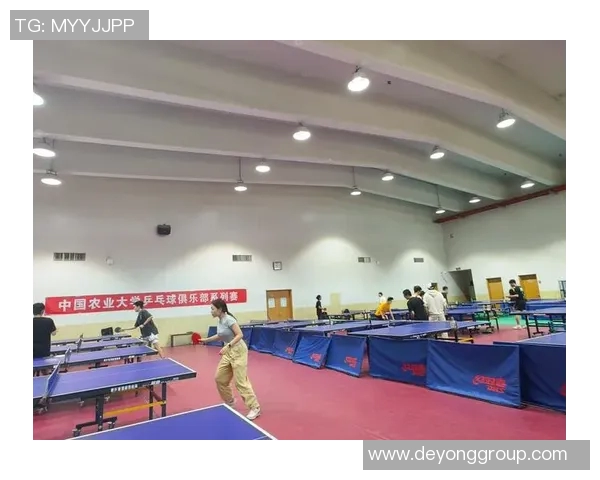 成都乒乓球队的节奏与激情：聚焦乒乓球的魅力与发展之路