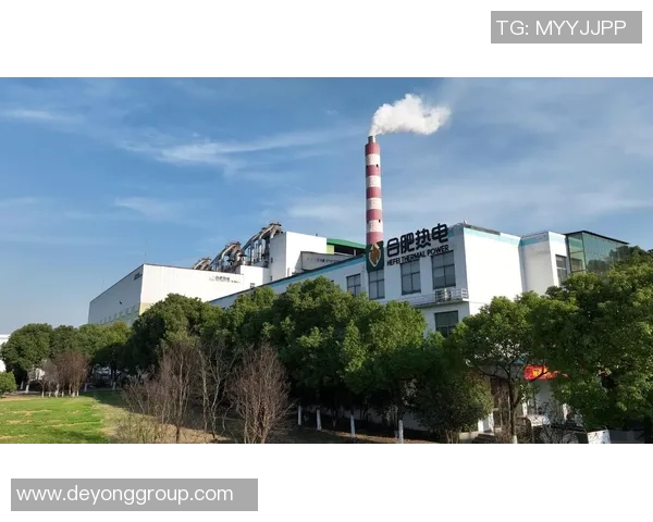 武汉网球队运营革新探索：从传统模式到现代化管理的转型之路